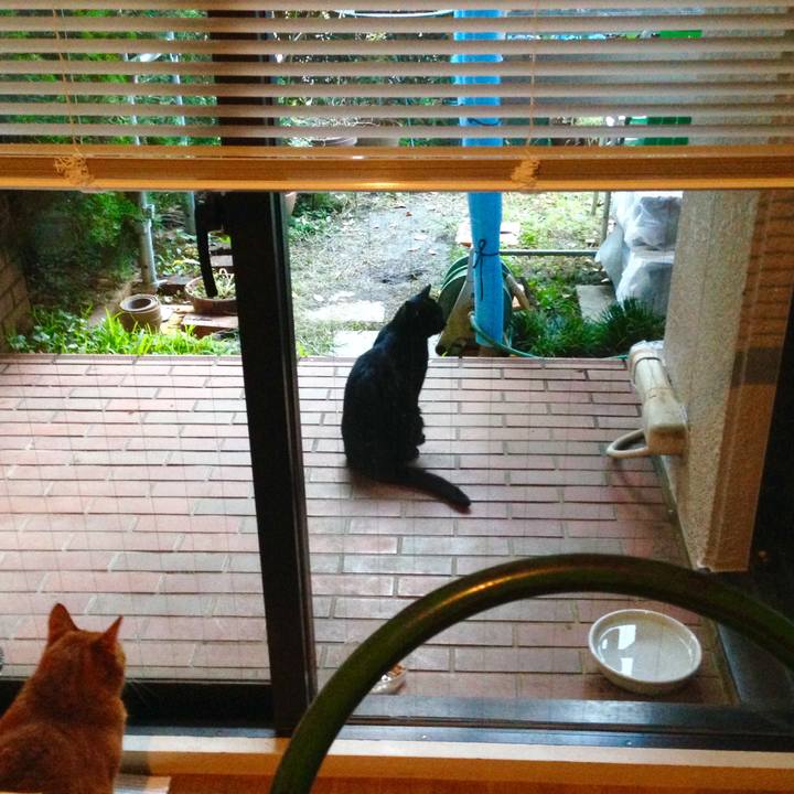 53178443 f2ba 43d2 8cce f74d2fecbe3a