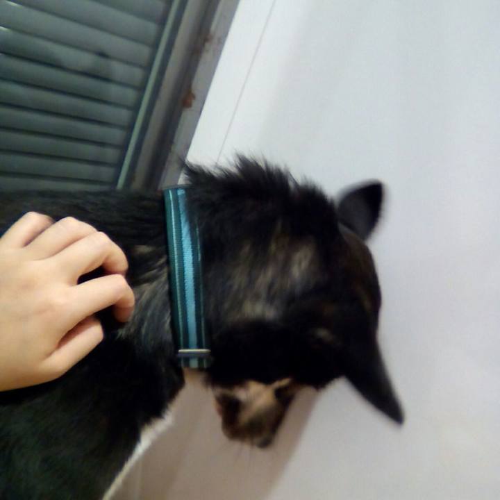 53179750 3b2a 40e6 929e 9c57c7ededef