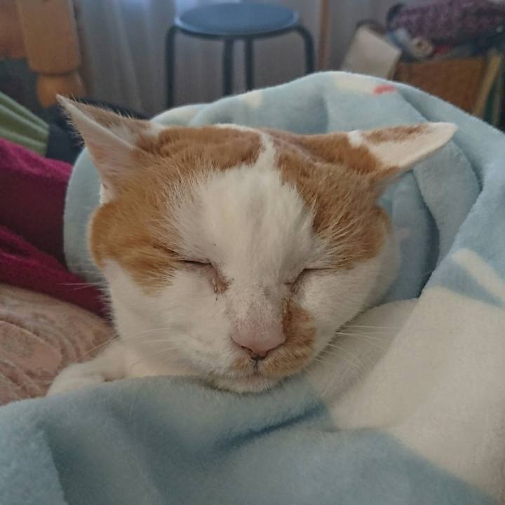 5317f11f 8c2c 4906 b7a5 7494c0ea8385