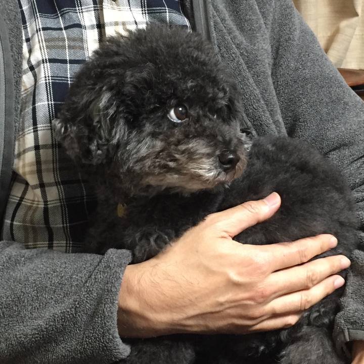 53180576 1a8c 441e 840e a59b267c9382