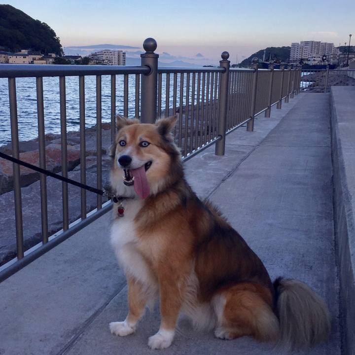 53184229 c49b 4ea5 9a01 ce8467244477