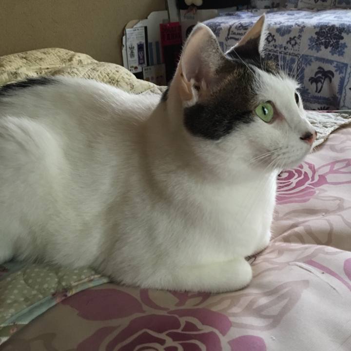 5318b316 0e3c 4eff 8037 c38a8fba9f42