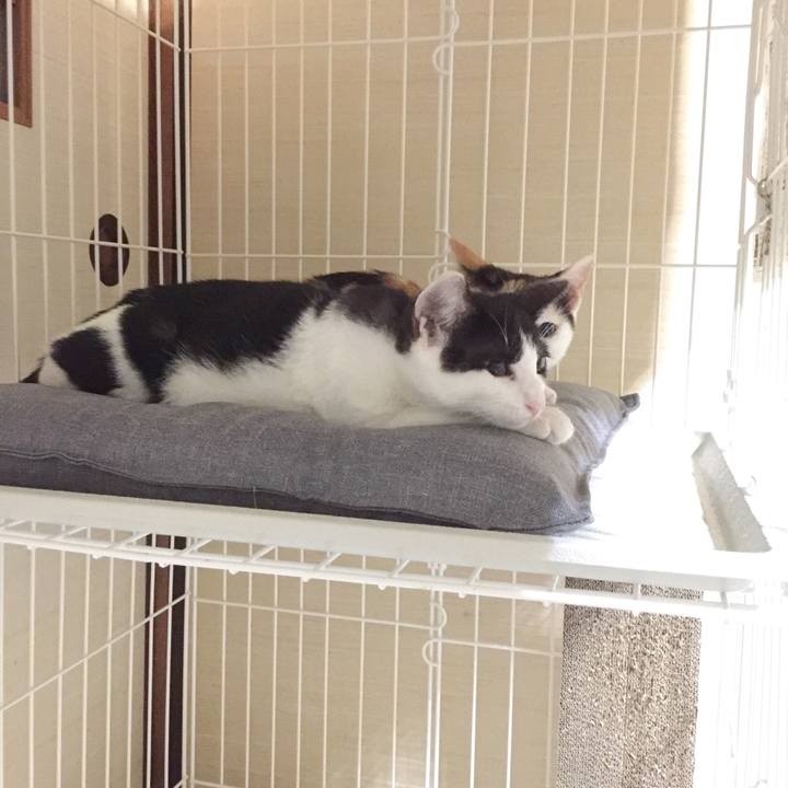 53192984 353b 4b98 bf4b 3fb96772327c