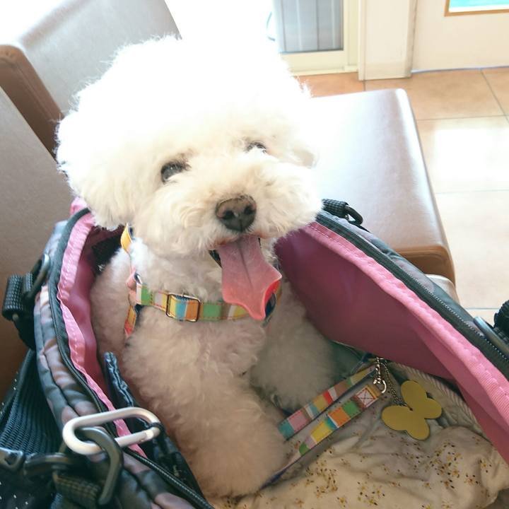 531934c4 02ea 4606 a32a da3259f4da36