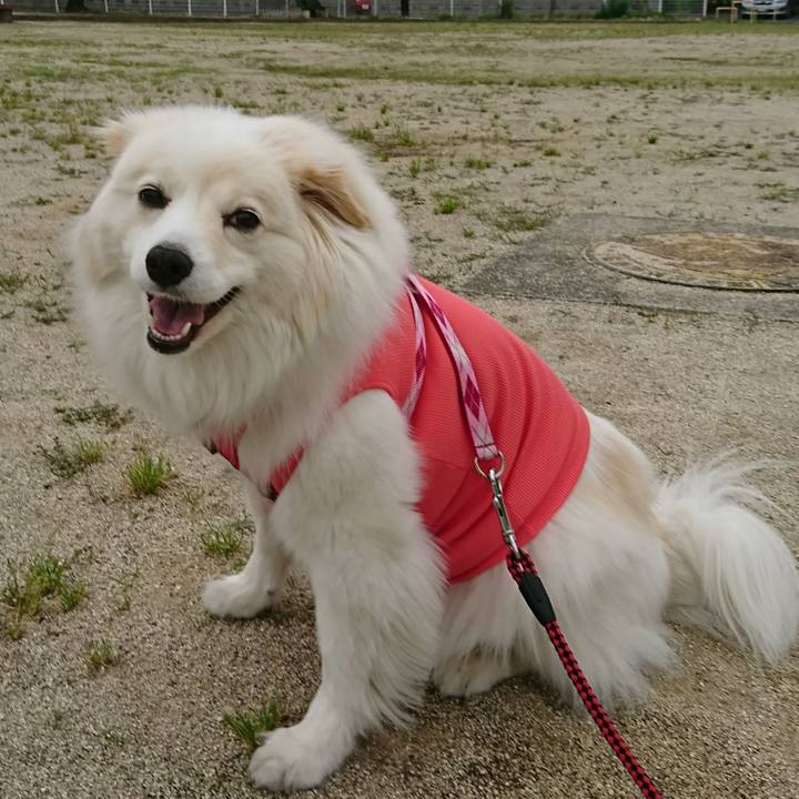 53197074 9b69 40b1 ab37 7ee18a82dce3