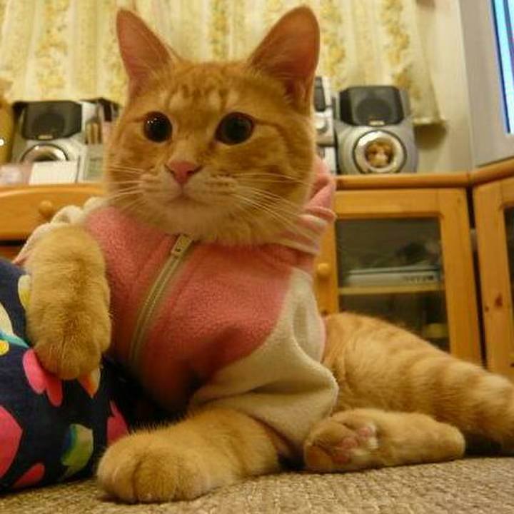 5319f8e6 c5fe 47a2 88be f2971ef9f679