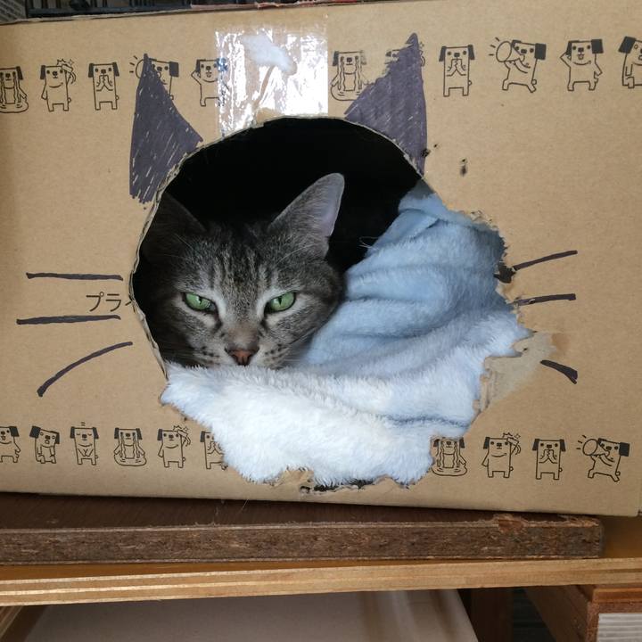 531b68e4 cc38 4b6d b4b4 6f9cb5a41f62