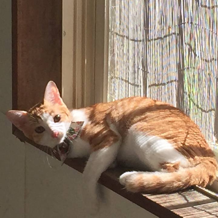 531b8a5a 1072 4679 bee9 38fc59afb796