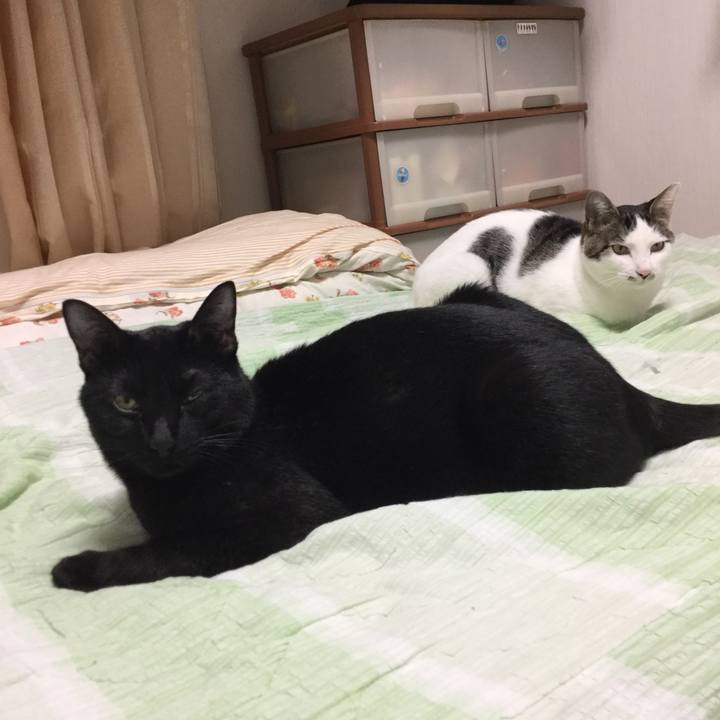 531c268d d2c8 495d 87d0 1d3051b43212