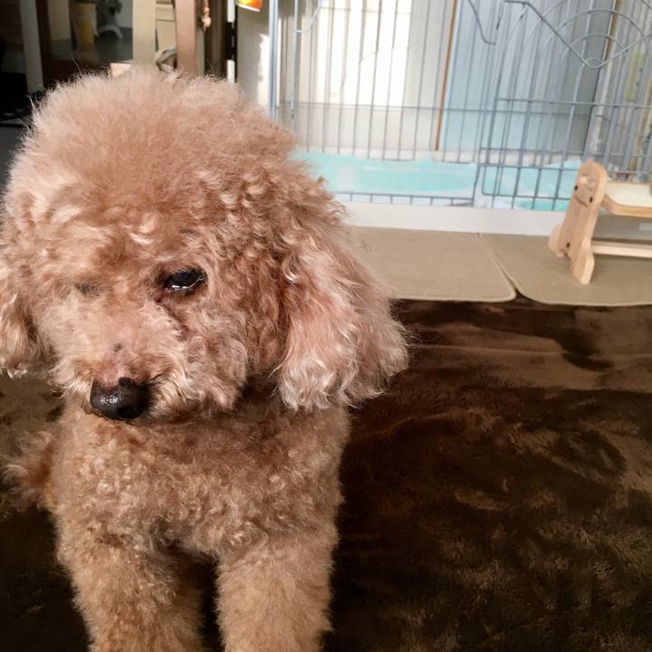 531d111d 871f 4356 b5e0 7a8fe8705904