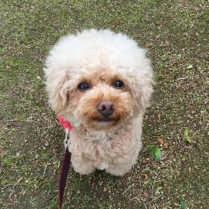 531d511b f011 493b ac7f de19c085df65