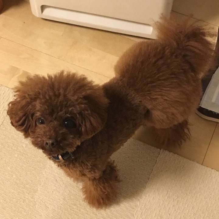 531d96ad 8212 4e20 b195 da6711b7547d