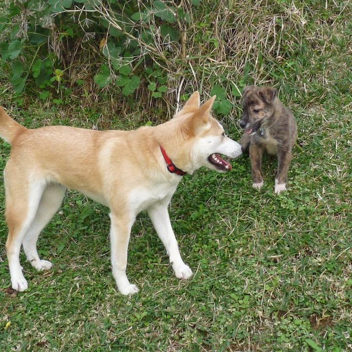 531da35a 1fd8 4946 ac9e 5dd1bc365deb