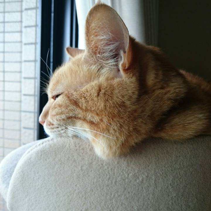 531e3db6 92b2 47f0 a887 53257831042e