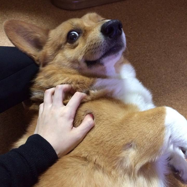 531e84ae 1441 4884 b4c8 1b8a7e28510a