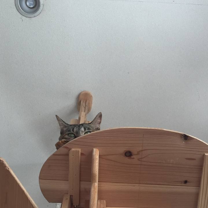 531f24cb 01cb 460d a524 2934322d32e8