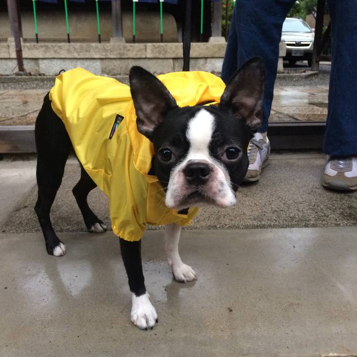 5320bfdd 3a74 4840 a32b b6ffd85bd18d