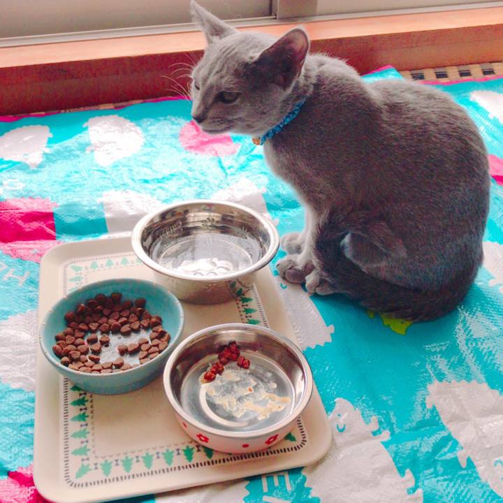 532126fc 294f 4d2f 99c2 1e465dcfd8cc