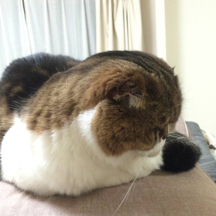 5321caaa df06 4487 b4a5 4052db41aa83