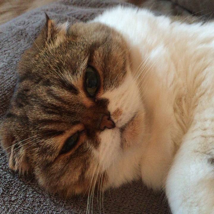 53227d1f 796e 44bc a91d 8c9c5d29d70d