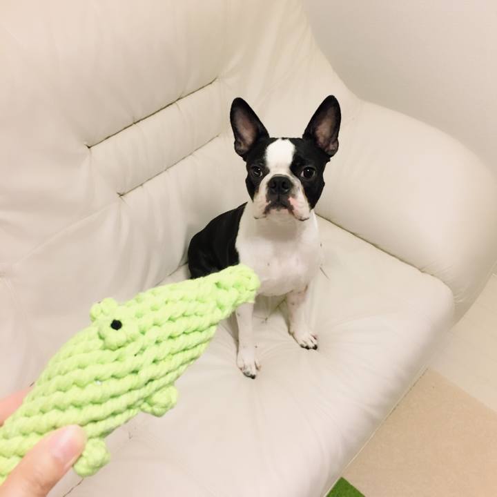 53227fae 77f9 4d59 9286 b2373c19e607