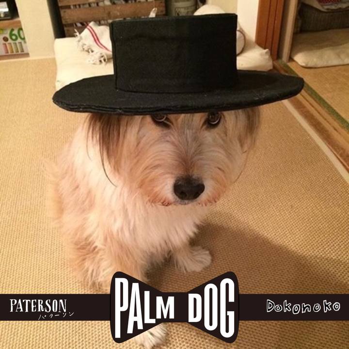 53239add 9095 4745 a70e 29affbe2e140