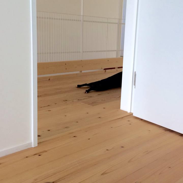 53241c4d 1e31 4a12 a42e 028e1439b5c0