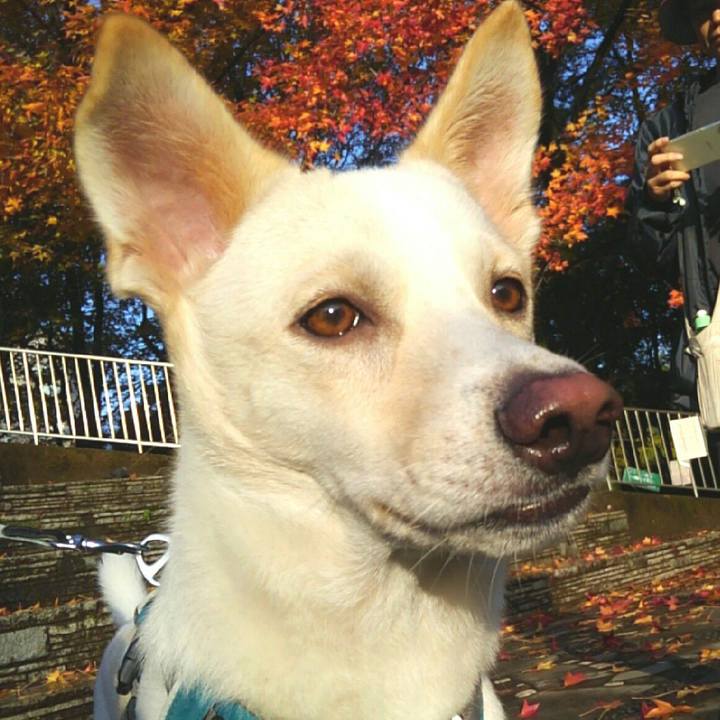 53254899 6e31 4d1f a81c ea19dd129fcd