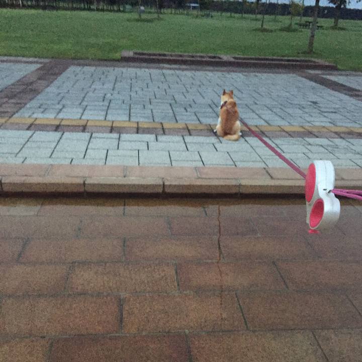 532610f9 9370 4417 9903 bbade3163e12