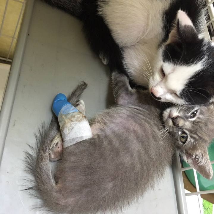 5326346a 036d 4b4c b82a 2236533b050b