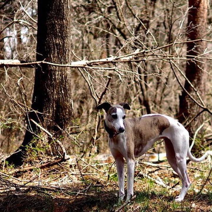 53272577 e9fe 44d3 96ea 2c284a1ad39c