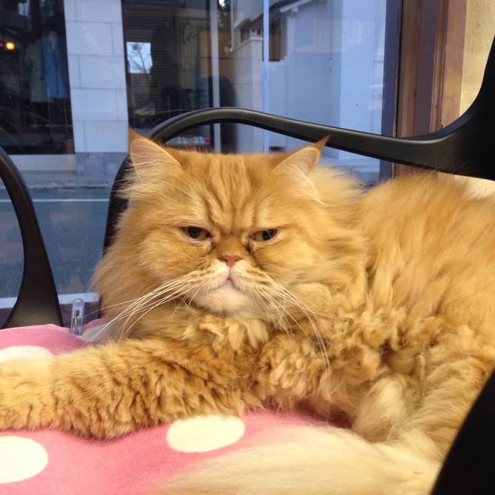 53281efd 0982 43f5 a0c7 2a7ebbdb2ae0