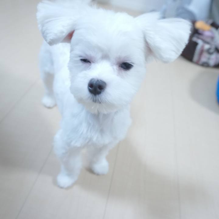 53284855 05ba 4c9b adf6 3a19172233da