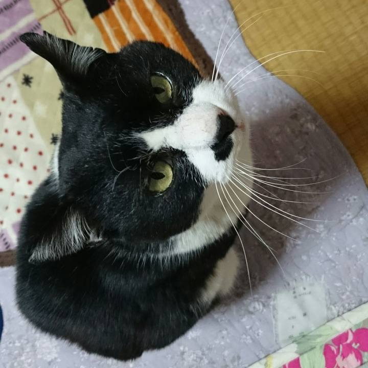 53285824 efbb 43b6 9907 e7436b59001a