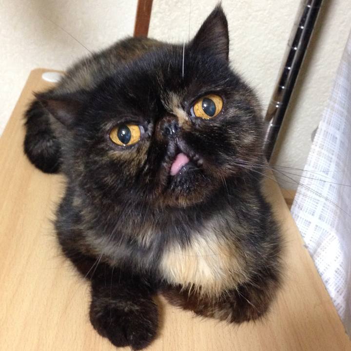 532889f7 a2dd 47c7 b9ac a7cfaba7f6e9