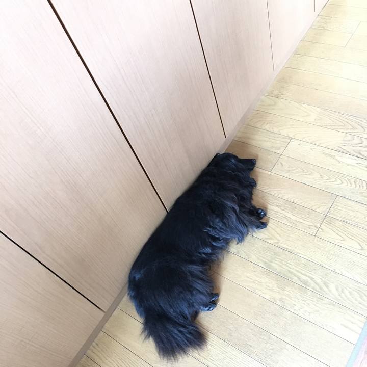 5328bf4a 933d 4cd4 b475 1e3db4ac0479