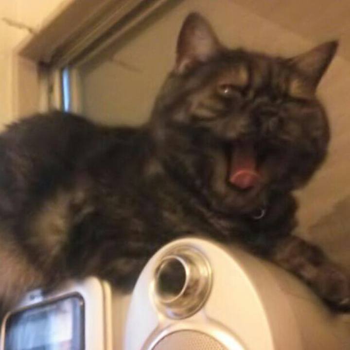 53299a3b e66d 42a5 b1e4 98640a60c3d0