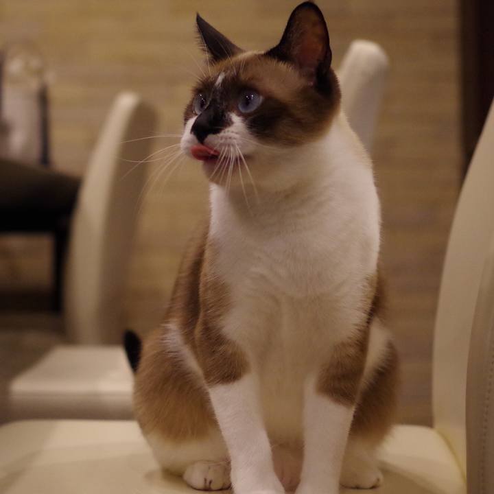 5329f4f3 fe04 4f96 9b51 8e3d2b9071f9