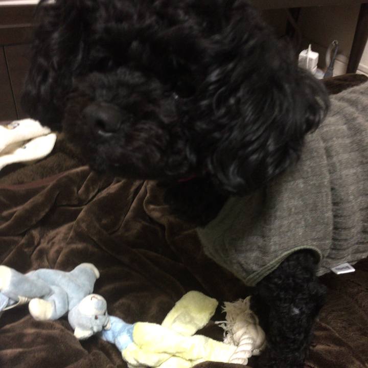 532a8ac8 afad 45a5 afc5 c179e21e057e