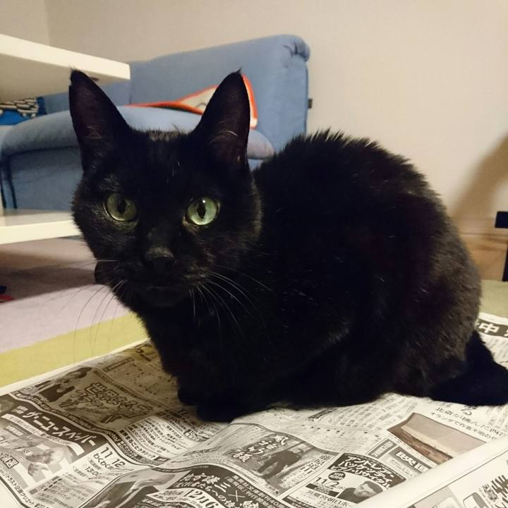 532a9f86 c512 4710 823b 78ed626bdb6a