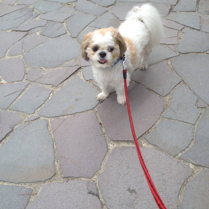 532ad66d ef02 447c a81f a3a442f7835a