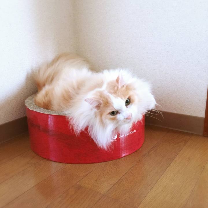 532ae76a a811 4a67 b7a7 8ad253fff9b6