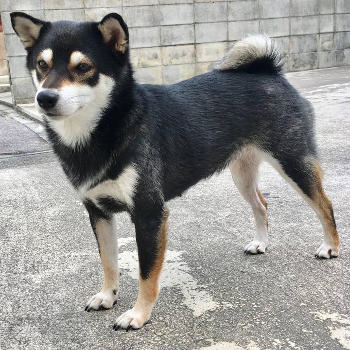 532b3719 7ba2 4c4a b4c9 232d797b3e9b