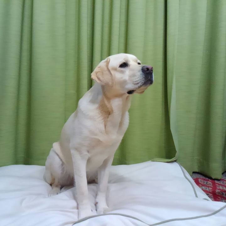 532b52fb 299e 4569 b6b3 a64699b0c3f0