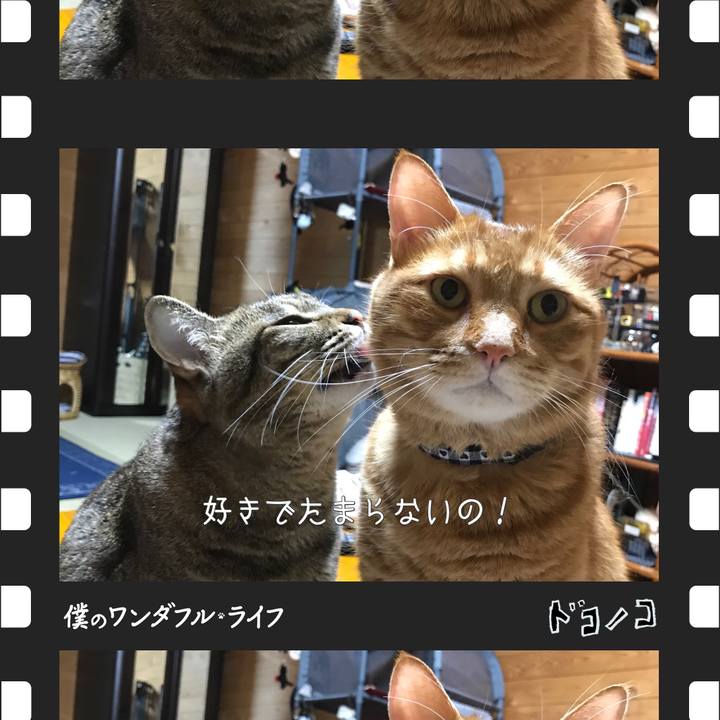 532c5448 aefc 46e6 9d50 94414f25eb68