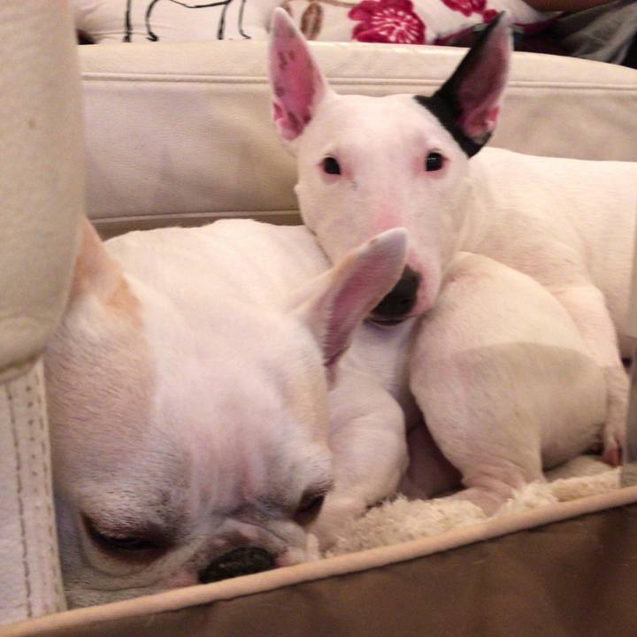 532cde68 367f 4c8b 9398 e8c5d2a1f775