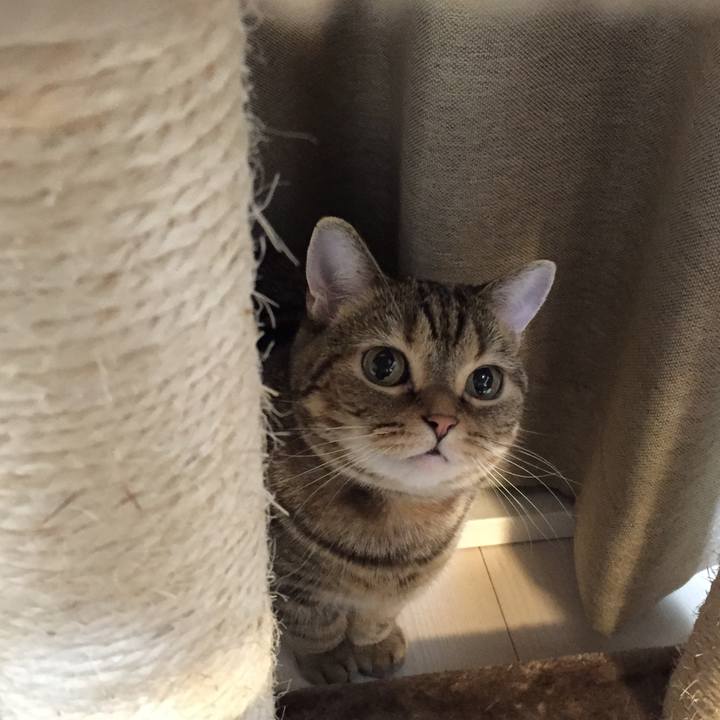 532d483a 9360 43fe 9ba5 0375a8d9106b