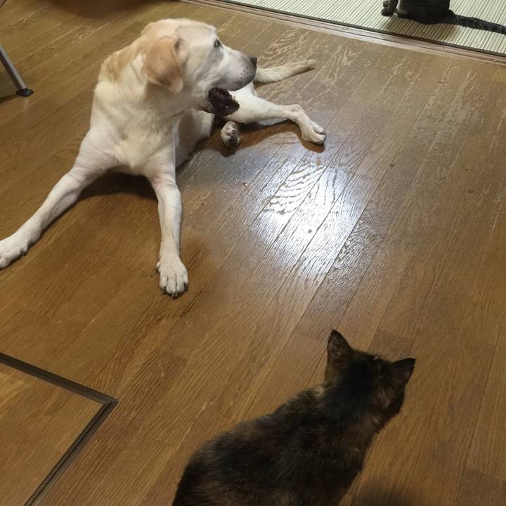 532dcad9 9e76 47aa ac8b 355d8f686f9e