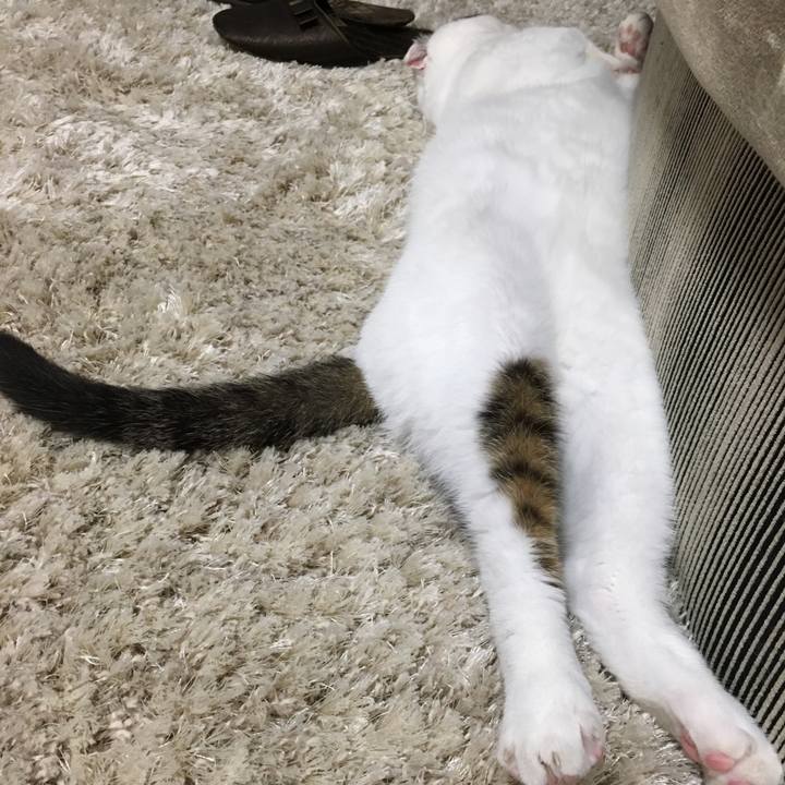 532ddc42 d832 4bcd b298 7a0415dbf63a