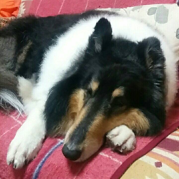 532e09e6 007e 447b a81a fec47b2a02ec